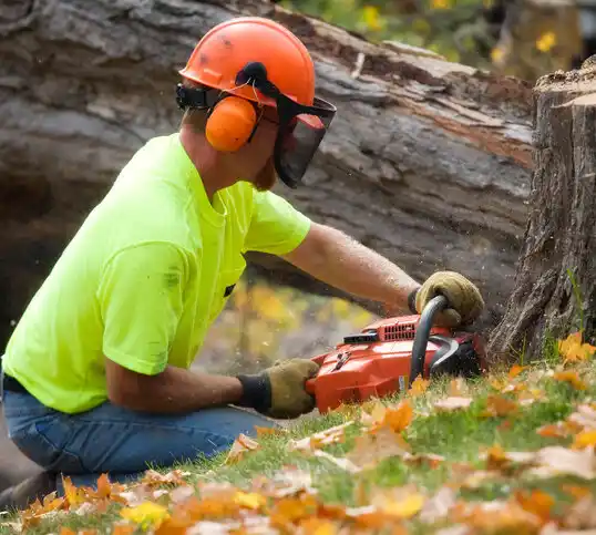 tree services Urich